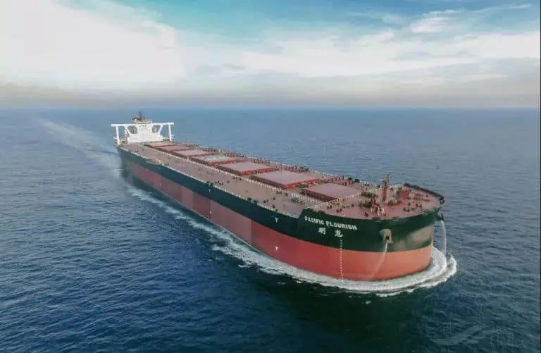 biggest bulk carrier ship