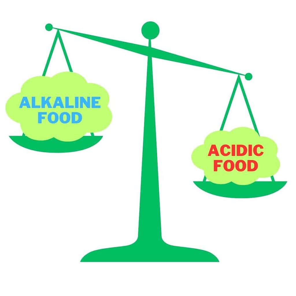 comparison acidic alkaline food